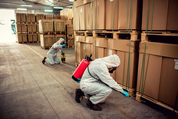 Reliable Warrenton, VA Pest Control Solutions