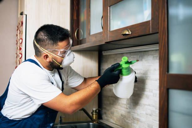 Best Insect Control  in Warrenton, VA