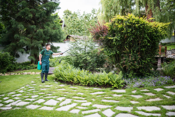 Best Best Pest Control Companies  in Warrenton, VA