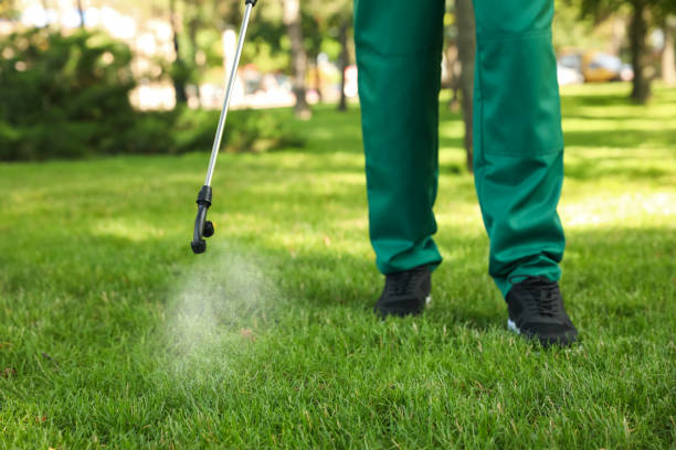 Best Pest Control Near Me  in Warrenton, VA