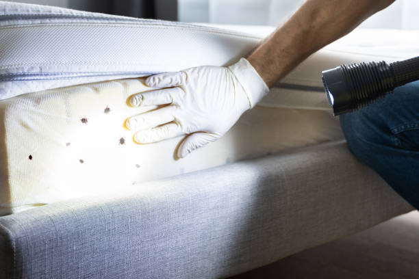  Warrenton, VA Pest Control Pros