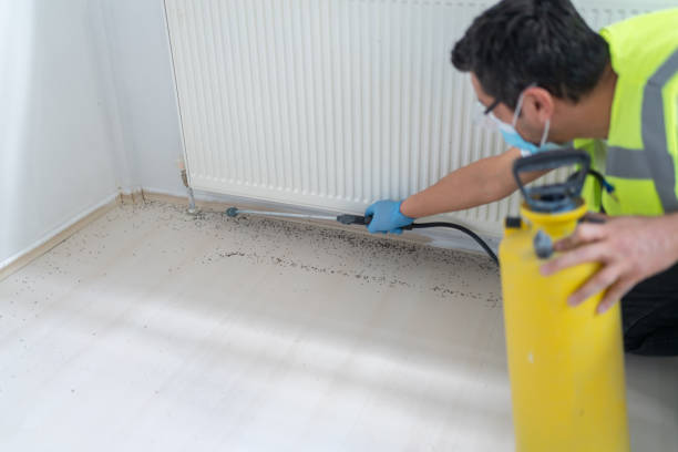 Best Commercial Pest Control Services  in Warrenton, VA