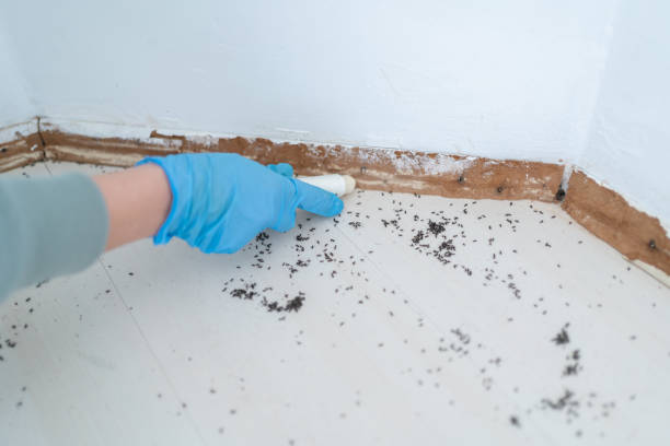 Best Residential Pest Control  in Warrenton, VA